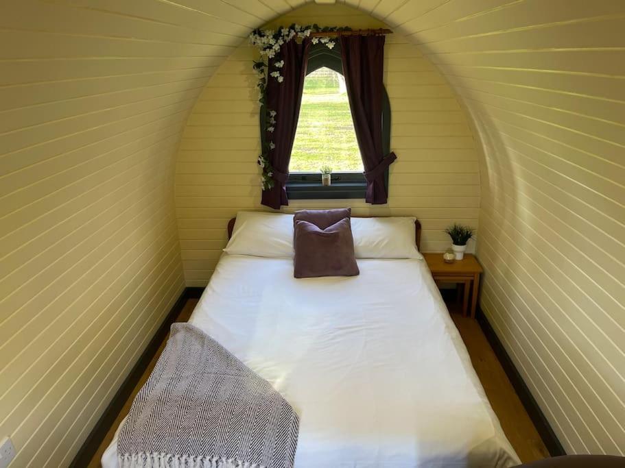 Belle Vista Glamping & Camping York Eksteriør billede