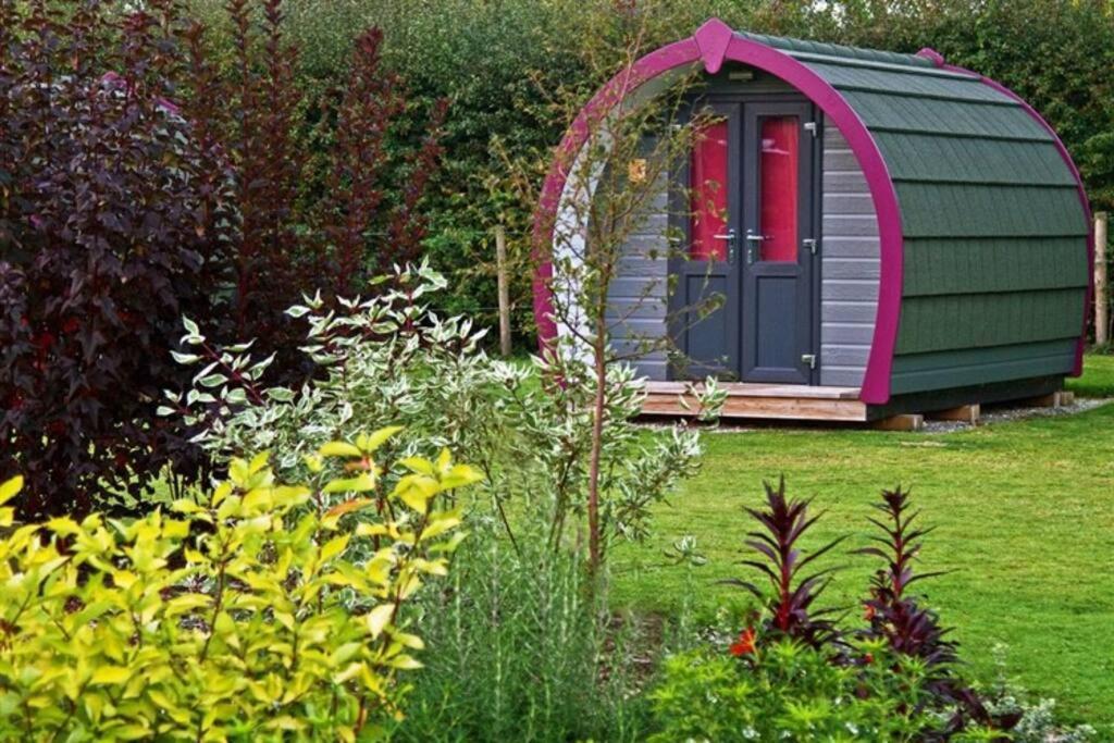 Belle Vista Glamping & Camping York Eksteriør billede