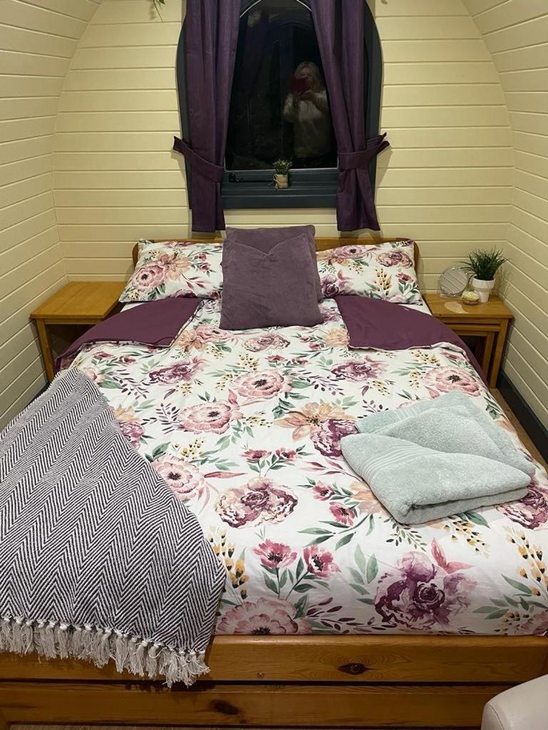 Belle Vista Glamping & Camping York Eksteriør billede