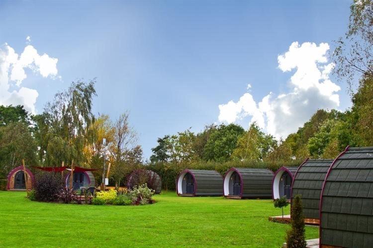 Belle Vista Glamping & Camping York Eksteriør billede